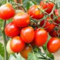 100 PCS Seeds Riesentraube Cherry Tomato