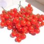 100 PCS Seeds Riesentraube Cherry Tomato