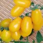 20 PCS Seeds Roma Yellow Little Tomato Plant Organic Edible Tomato