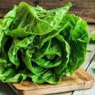 200 PCS Seeds Romaine Lettuce (Lactuca L. var. longifolia) Vegetable