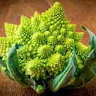 100 PCS Seeds Roman Broccoli Seeds Vegetables 100 PCS Seeds Roman Broccoli Seeds Vegetables