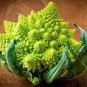 100 PCS Seeds Roman Broccoli Seeds Vegetables