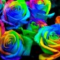 200 PCS Seeds Rose Rainbow Flower