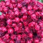 100 PCS Seeds Roselle Ilibiscus
