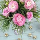 100 PCS Seeds Rouge Ranunculus Flower Seeds, Indoor Bonsai Plant
