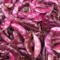 8 PCS Seeds Ruby Moon Red Hyacinth Bean