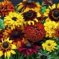 100 PCS Seeds Rudbeckia Hirta Flowers