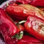 100 PCS Seeds Russian Giant Sweet Pepper