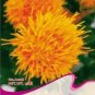 40 PCS Seeds Safflower Carthamus Chinese Herbs Red Flower