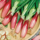 100 PCS Seeds Salad Bunching Red Mate Onion Vegetables 100 PCS Seeds Salad Bunching Red Mate Onion Vegetables