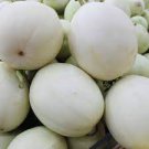 10 PCS Seeds Sanmalon Sweet Melon White Hybrid Fruit