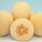 10 PCS Seeds Sanmalon Sweet Melon White Hybrid Fruit
