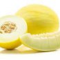 10 PCS Seeds Sanmalon Sweet Melon White Hybrid Fruit