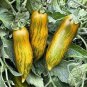 100 PCS Seeds Sausage Green Tomato Organic