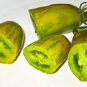100 PCS Seeds Sausage Green Tomato Organic