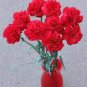 50 PCS Seeds Scarlet Red Carnation Flowers