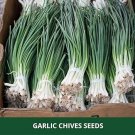 75 PCS Seeds Series Chinese Chives