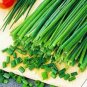 75 PCS Seeds Series Chinese Chives