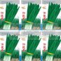 75 PCS Seeds Series Chinese Chives