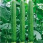 15 PCS Seeds Short Loofah Organic