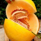 20 PCS Seeds Small Heirloom True French Charentais Gourmet Melon Cucumis Melo 20 PCS Seeds Small Heirloom True French Charentais Gourmet Melon Cucumis Melo