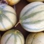 20 PCS Seeds Small Heirloom True French Charentais Gourmet Melon Cucumis Melo