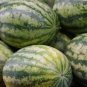 10 PCS Seeds Snow Pear Water Melon Seeds White Inside Green Skin Black Stripe