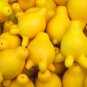 20 PCS Seeds Solanum mammosum Cow's Udder Nipple Fruit Apple