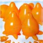 20 PCS Seeds Solanum mammosum Cow's Udder Nipple Fruit Apple