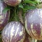 50 PCS Seeds Solanum muricatum Aiton Ginseng Fruit