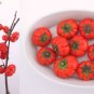 30 PCS Seeds Solnum hybrida Red Ornamental Eggplant