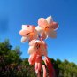 3 PCS Seeds South Africa Rare Watsonia Seeds Pinkish Orange Rare Petals Flowers