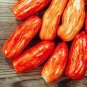 100 PCS Seeds Speckled Roman Organic Heirloom Tomato