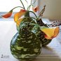 10 PCS Seeds Speckled Swan Gourd Lagenaria Siceraria
