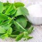 400 PCS Seeds Stevia Herbs Green Herb Stevia Rebaudiana Semillas for Garden Planting Healthy