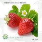 100 PCS Seeds Strawberry Heirloom Imported