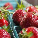 50 PCS Seeds Strawbery