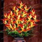 100 PCS Seeds Strelitzia Reginae Indoor Potted Plant Flowers