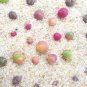 100 PCS Seeds Succulent Plants Bonsai Per Pack Gibbaeum Heathii Bonsai