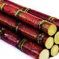 100 PCS Seeds Sugar red Cane