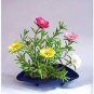 220 PCS Seeds Sunflower Potted Portulaca Grandiflora