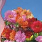 220 PCS Seeds Sunflower Potted Portulaca Grandiflora