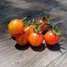 100 PCS Seeds Sunrise Bumble Bee Tomato Sweet Tangy Fruit 100 PCS Seeds Sunrise Bumble Bee Tomato Sweet Tangy Fruit