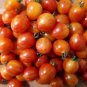 100 PCS Seeds Sunrise Bumble Bee Tomato Sweet Tangy Fruit