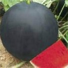 40 PCS Seeds Super Black Skin Red Seedless Watermelon 'Landmine' Organic 40 PCS Seeds Super Black Skin Red Seedless Watermelon 'Landmine' Organic