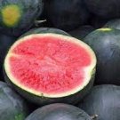 40 PCS Seeds Super Black Skin Red Seedless Watermelon Organic 40 PCS Seeds Super Black Skin Red Seedless Watermelon Organic