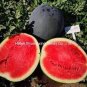 40 PCS Seeds Super Black Skin Red Seedless Watermelon Organic