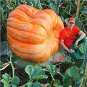 20 PCS Seeds Super Large Pumpkin