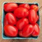 100 PCS Seeds Super Rare Red AURIA Tomato