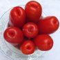 100 PCS Seeds Super Rare Red AURIA Tomato